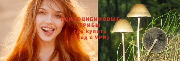 дурь Абаза