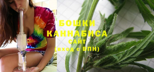ПСИЛОЦИБИНОВЫЕ ГРИБЫ Лиски