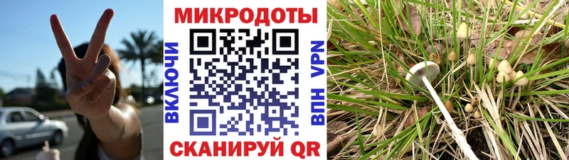 Псилоцибиновые грибы GOLDEN TEACHER  Анадырь 
